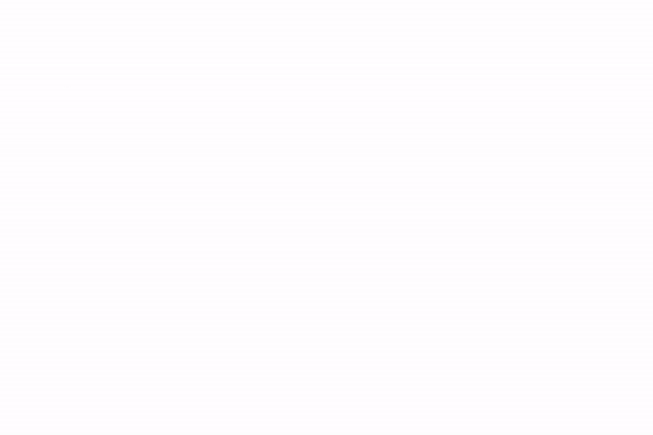 BEV numbers gif